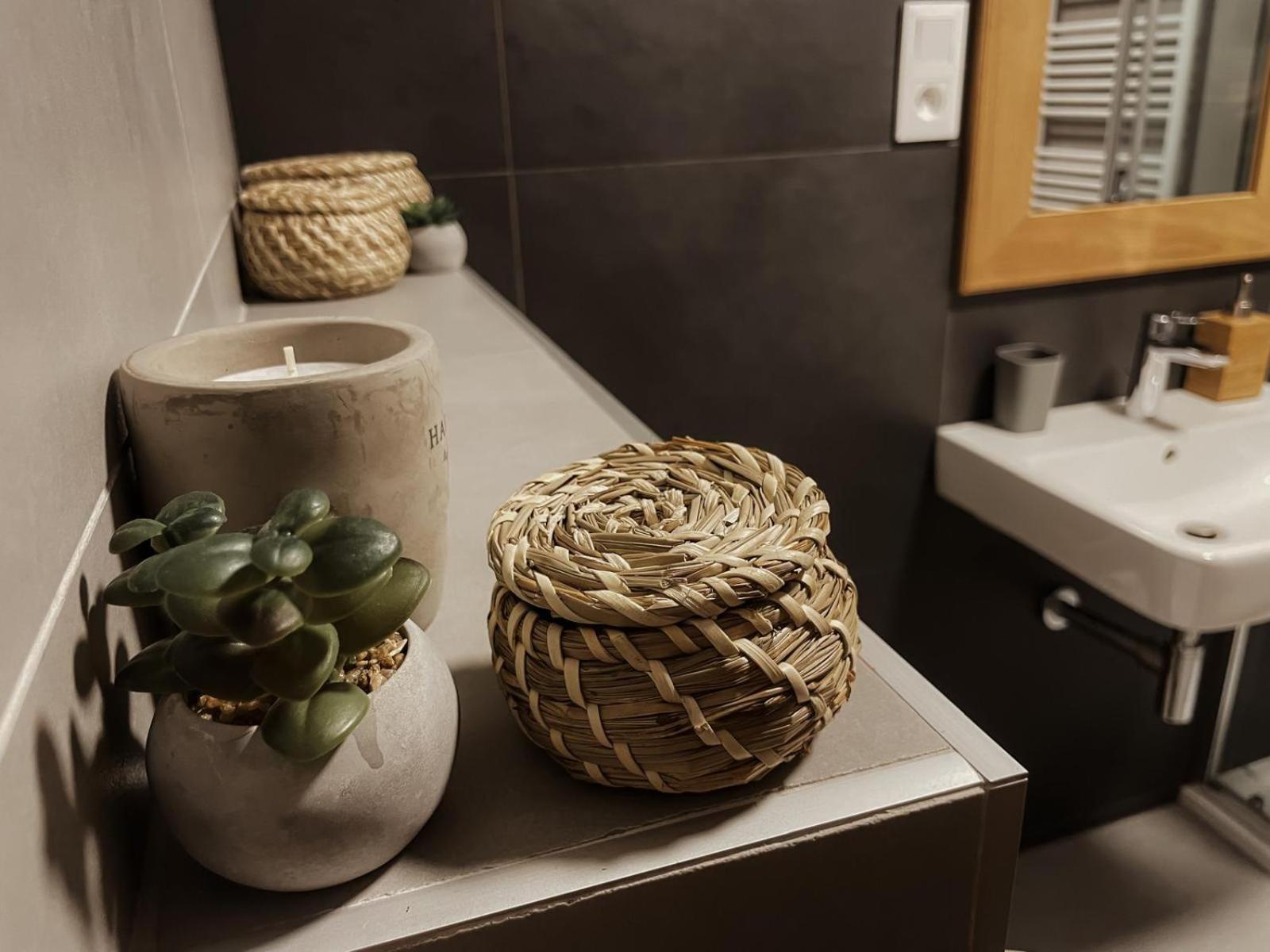 Javorna Apartment *